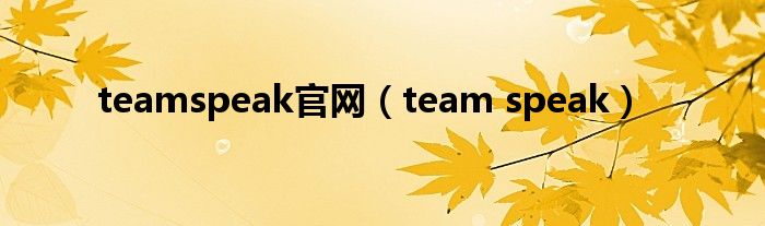 teamspeak官网(team speak)