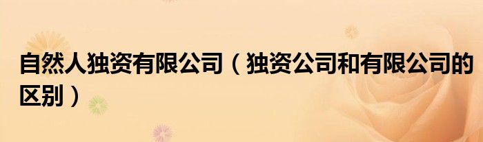 自然人独资有限公司(独资公司和有限公司的区别)