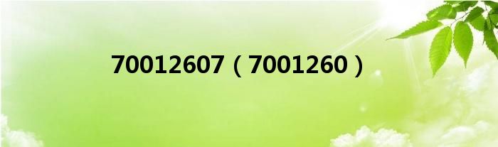 70012607(7001260)