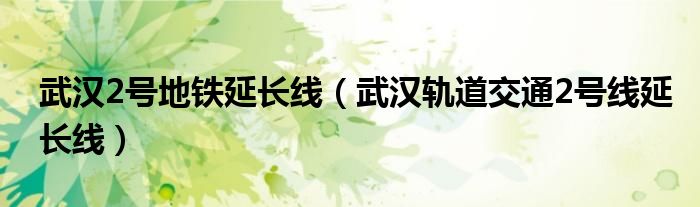 武汉2号地铁延长线(武汉轨道交通2号线延长线)