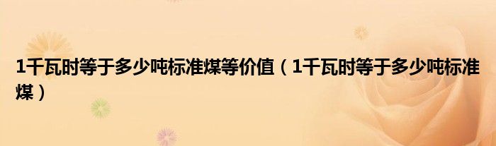 1千瓦时等于多少吨标准煤等价值(1千瓦时等于多少吨标准煤)
