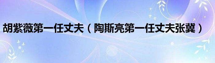 胡紫薇第一任丈夫(陶斯亮第一任丈夫张冀)