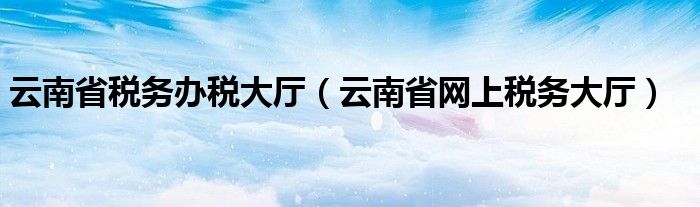 云南省税务办税大厅（云南省网上税务大厅）