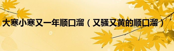 大寒小寒又一年顺口溜(又骚又黄的顺口溜)