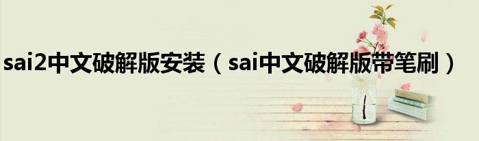 sai2中文破解版安装(sai中文破解版带笔刷)