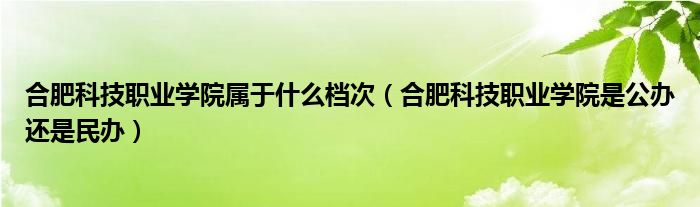 合肥科技职业学院属于什么档次(合肥科技职业学院是公办还是民办)