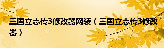 三国立志传3修改器网装(三国立志传3修改器)
