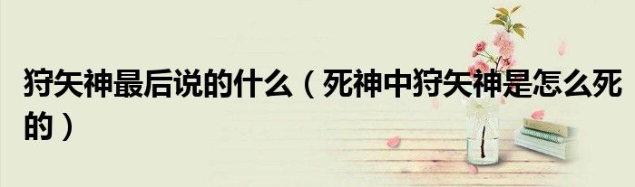 狩矢神最后说的什么(死神中狩矢神是怎么死的)