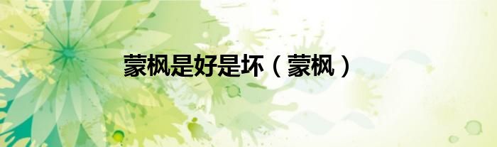 蒙枫是好是坏（蒙枫）