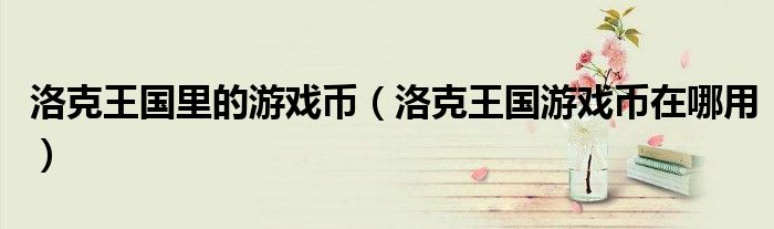 洛克王国里的游戏币(洛克王国游戏币在哪用)