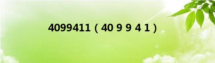4099411(40 9 9 4 1)