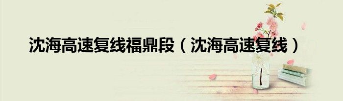 沈海高速复线福鼎段(沈海高速复线)