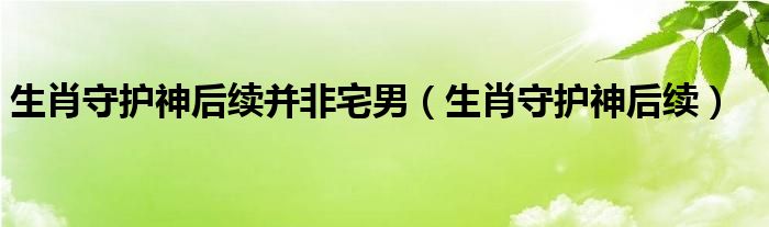 生肖守护神后续并非宅男(生肖守护神后续)