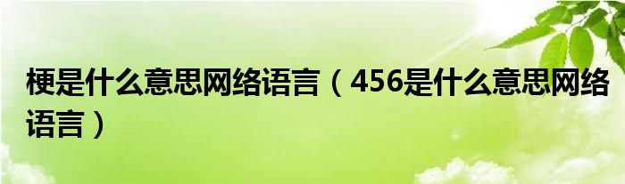 梗是什么意思网络语言(456是什么意思网络语言)