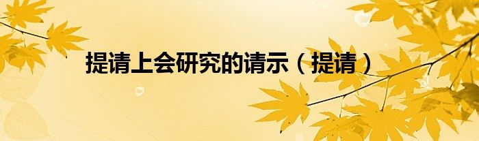 提请上会研究的请示(提请)