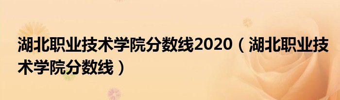 湖北职业技术学院分数线2020(湖北职业技术学院分数线)