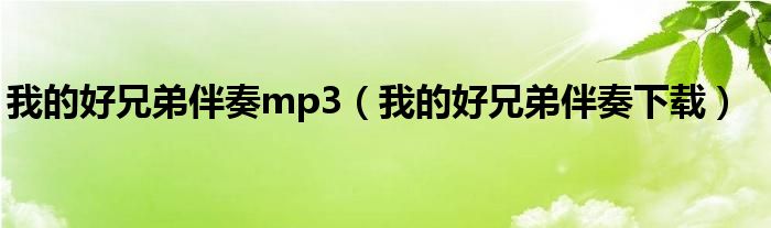 我的好兄弟伴奏mp3(我的好兄弟伴奏下载)