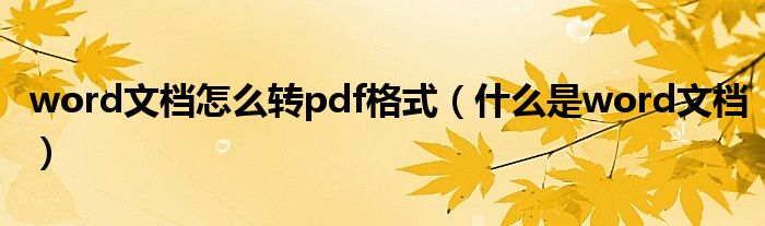 word文档怎么转pdf格式(什么是word文档)