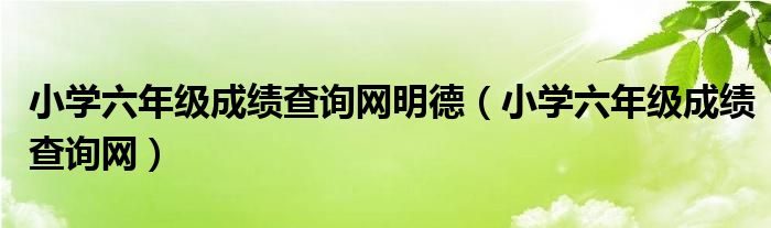 小学六年级成绩查询网明德(小学六年级成绩查询网)
