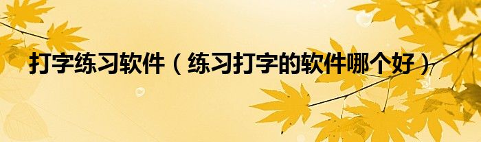 打字练习软件(练习打字的软件哪个好)