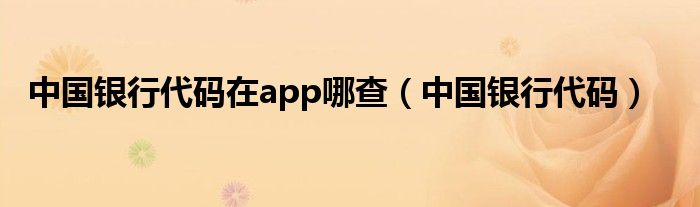 中国银行代码在app哪查(中国银行代码)