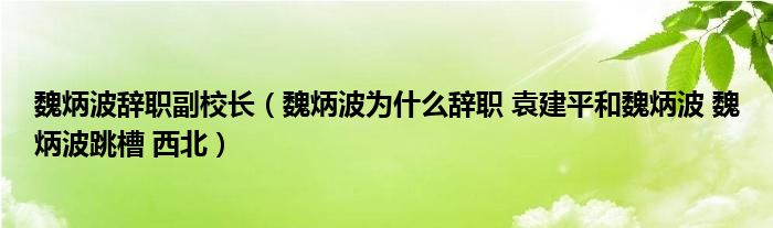 魏炳波辞职副校长(魏炳波为什么辞职 袁建平和魏炳波 魏炳波跳槽 西北)