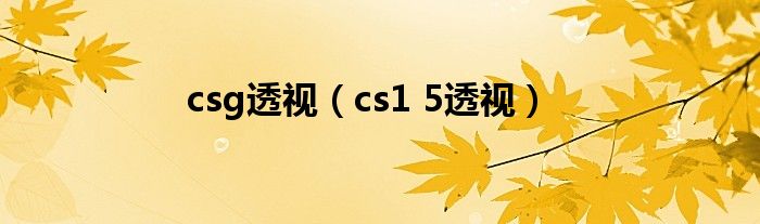 csg透视(cs1 5透视)