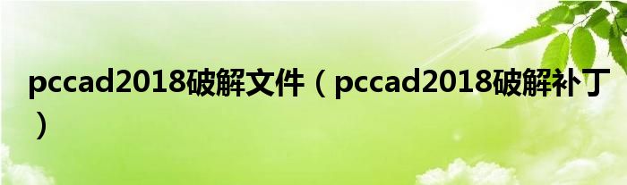 pccad2018破解文件(pccad2018破解补丁)