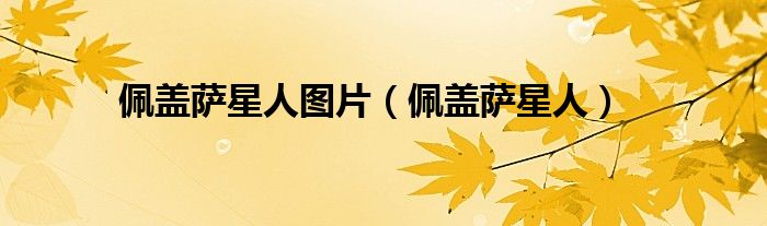 佩盖萨星人图片(佩盖萨星人)