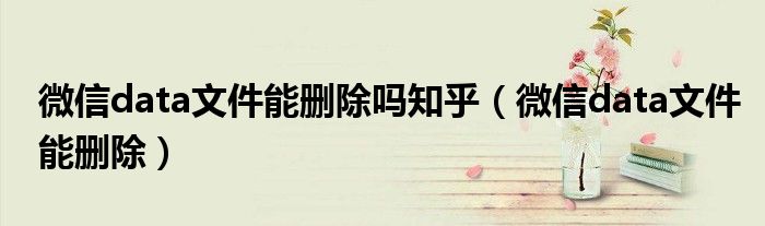 微信data文件能删除吗知乎(微信data文件能删除)