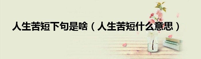 人生苦短下句是啥(人生苦短什么意思)