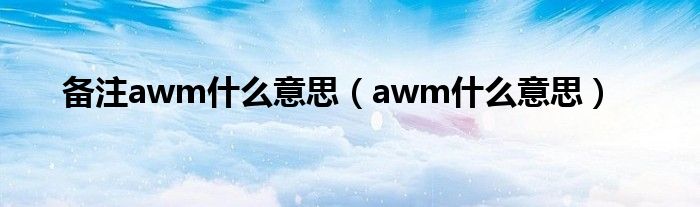 备注awm什么意思(awm什么意思)