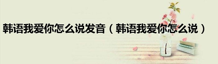 韩语我爱你怎么说发音(韩语我爱你怎么说)