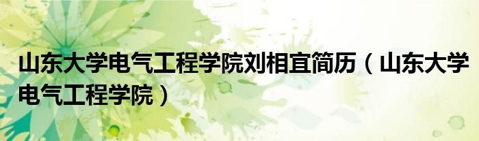 山东大学电气工程学院刘相宜简历(山东大学电气工程学院)