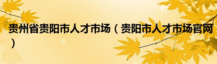 贵州省贵阳市人才市场(贵阳市人才市场官网)