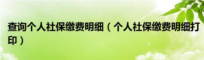 查询个人社保缴费明细(个人社保缴费明细打印)
