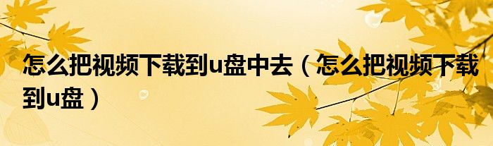 怎么把视频下载到u盘中去(怎么把视频下载到u盘)