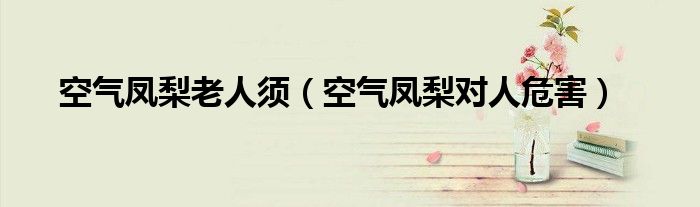 空气凤梨老人须(空气凤梨对人危害)