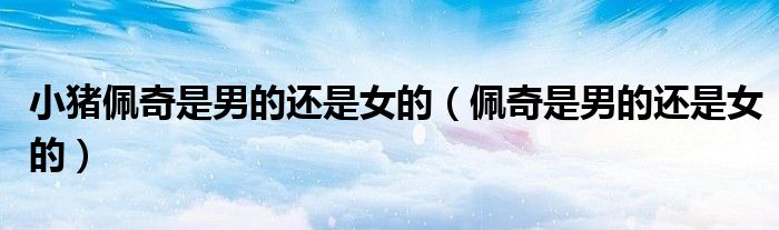 小猪佩奇是男的还是女的(佩奇是男的还是女的)