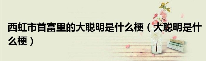 西虹市首富里的大聪明是什么梗(大聪明是什么梗)
