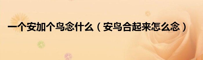一个安加个鸟念什么(安鸟合起来怎么念)