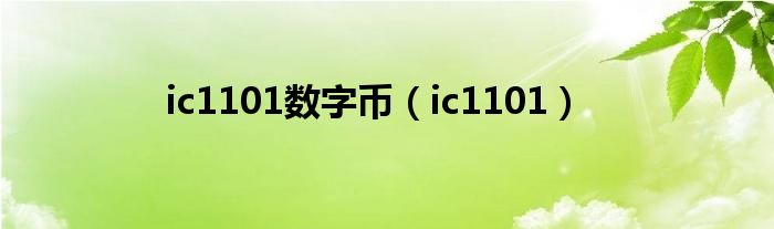 ic1101数字币(ic1101)