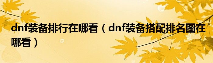 dnf装备排行在哪看(dnf装备搭配排名图在哪看)