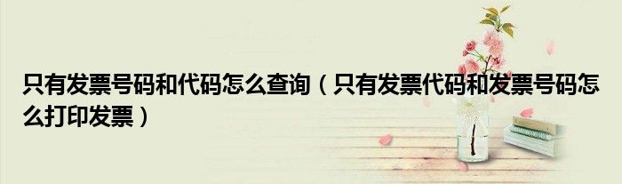 只有发票号码和代码怎么查询(只有发票代码和发票号码怎么打印发票)