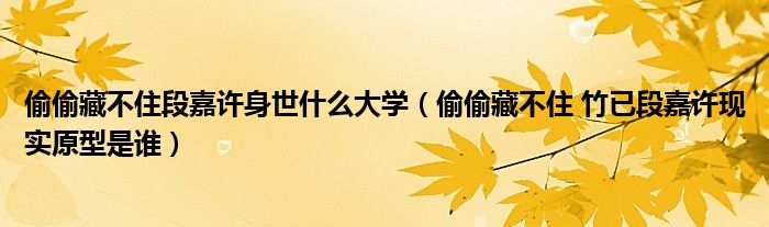 偷偷藏不住段嘉许身世什么大学(偷偷藏不住 竹已段嘉许现实原型是谁)