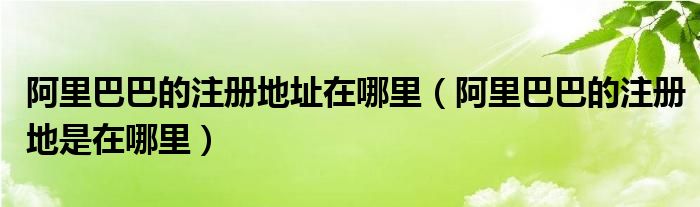 阿里巴巴的注册地址在哪里（阿里巴巴的注册地是在哪里）