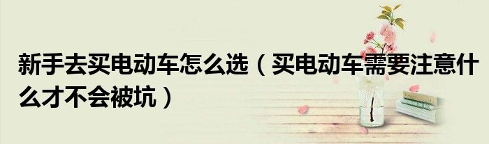 新手去买电动车怎么选(买电动车需要注意什么才不会被坑)