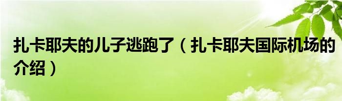 扎卡耶夫的儿子逃跑了(扎卡耶夫国际机场的介绍)