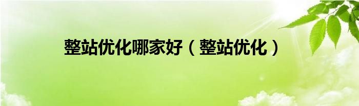 整站优化哪家好(整站优化)