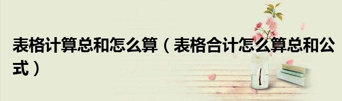 表格计算总和怎么算(表格合计怎么算总和公式)